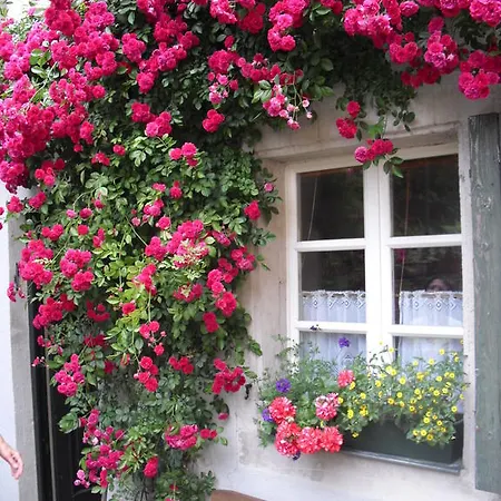 Apartment Kleines Haus