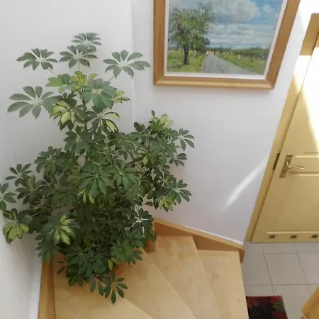 Apartment Kleines Haus *